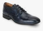 Arrow Navy Blue Solid Derbys Men