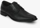 Arrow Nethan Black Formal Shoes Men