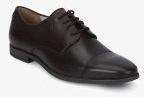 Arrow Preston Brown Derby Formal Shoes Men