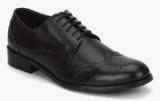 Arrow Rhode Brown Brogue Formal Shoes men