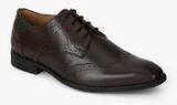 Arrow Tiago Brown Brogue Derby Formal Shoes men