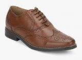 Bata Brown Oxford Brogue Formal Shoes men