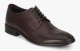 Bata Derby Brown Formal Shoes men