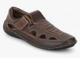 Bck Brown Sandals By Buckaroo Men