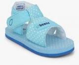 Beanz Blue Sandals Boys