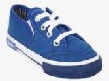 Beanz Blue Sneakers Boys