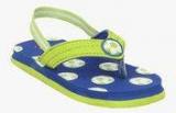 Beanz Green Flip Flops Boys