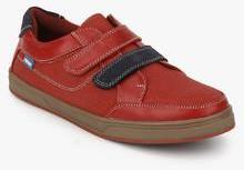 Beanz Lane Stakes Maroon Sneakers boys