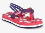 Beanz Little Hearts Purple Flip Flops Boys