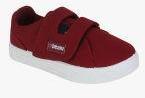 Beanz Maroon Canvas Regular Sneakers Boys