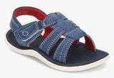 Beanz Meadow Sandal Blue Sandals boys