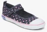 Beanz Rush Rhea Navy Blue Sneakers girls