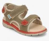 Beanz Victor Brown Sandals Boys