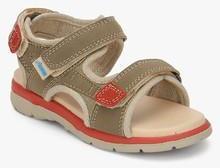 Beanz Victor Brown Sandals boys