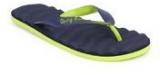 Being Human Clothing Blue Flip Flops men