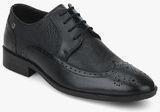 Blackberrys Black Derby Brogue Formal Shoes Men