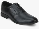 Blackberrys Black Oxford Formal Shoes Men