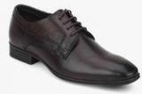 Blackberrys Brown Derby Formal Shoes Men