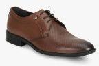 Blackberrys Brown Leather Regular Derbys Men