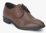 Blackberrys Pp Faas Brown Derby Formal Shoes Men