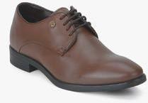 Blackberrys Pp Faas Brown Derby Formal Shoes men