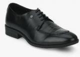 Blackberrys Pp Gio Black Derby Formal Shoes Men