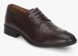 Blackberrys Pp Gio Brown Derby Formal Shoes Men