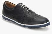 Blackberrys Sp Bruno Navy Blue Brogue Sneakers Men