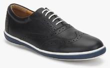 Blackberrys Sp Bruno Navy Blue Brogue Sneakers men