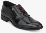 Blackberrys Wine Oxford Formal Shoes Men