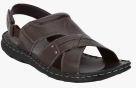 Bond Street By Red Tape Coffee Brown Sandals Men