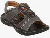 Brats N Dolls Grey Sandals Boys