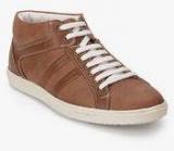 Buckaroo Blaas Brown Sneakers Men