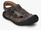 Buckaroo Dennis Brown Sandals Men