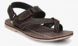 Buckaroo Rios Brown Sandals Men