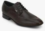 Bugatti Mattia Brown Formal Shoes Men