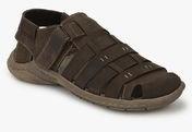 Bugatti Peak Brown Sandals Men