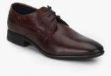 Bugatti Rossano Brown Derby Formal Shoes Men