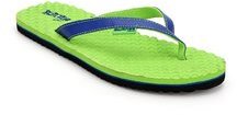 Burner Accu Green Flip Flops women