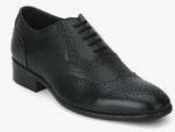 Carlton London Black Brogue Oxford Formal Shoes Men