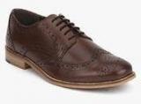 Carlton London Coffee Brogue Formal Shoes Men