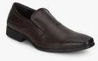 Carlton London Coffee Brown Oxfords Formal Shoes Men