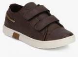 Carlton London Coffee Sneakers boys