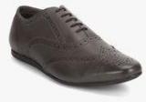 Carlton London Grey Brogue Lifestyle Shoes men