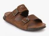 Clarks Keften Free Brown Buckled Sandals Men