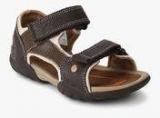 Clarks Mirlo Deck Inf Brown Sandals Boys