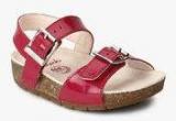 Clarks Volkinicon Fuchsia Buckled Sandals Girls