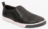 Claude Lorrain Black Sneakers Men