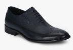 Cobblerz Navy Blue Textured Brogues Men