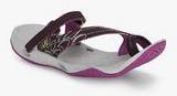 Columbia Sunrise Vent Ii Wine Flip Flops Women